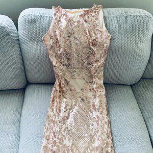 Rose Gold/ Nude Semi-Formal/Formal Dress